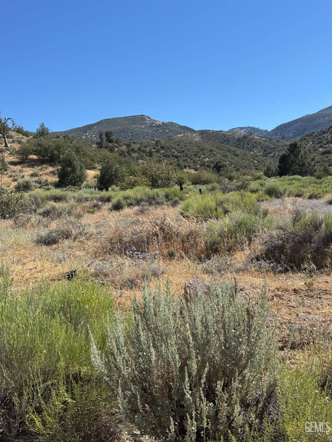 Vogel Road — photo 5