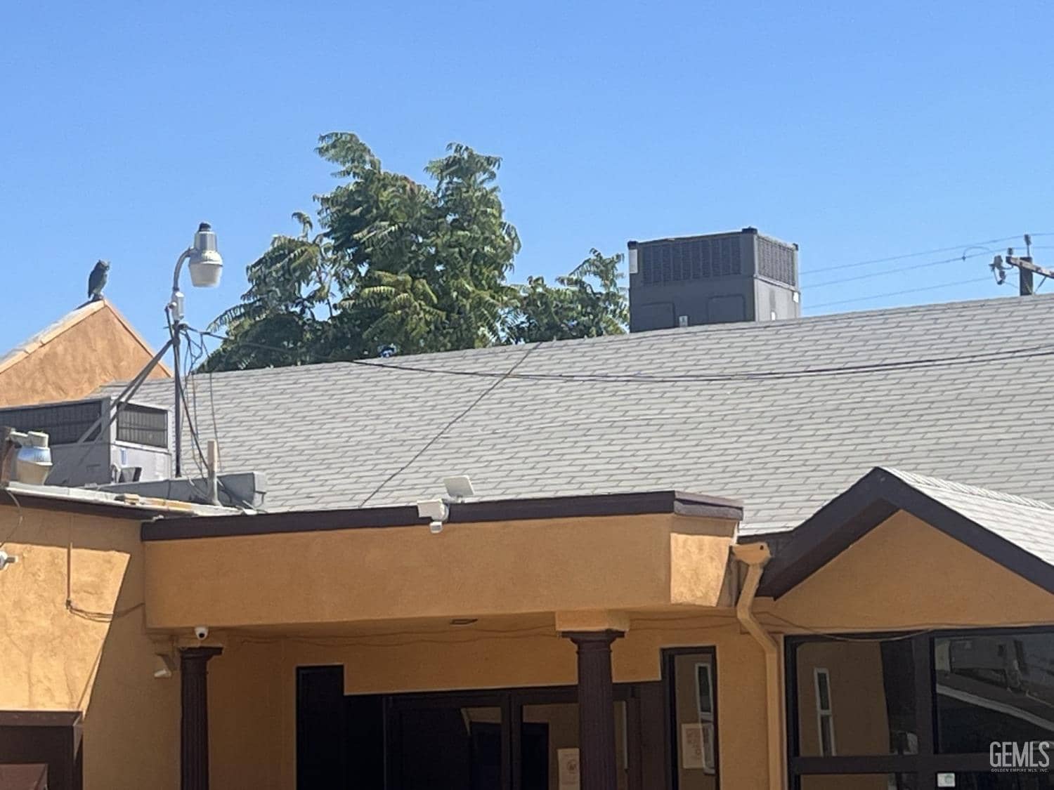 1223 Dolores Street — photo 4