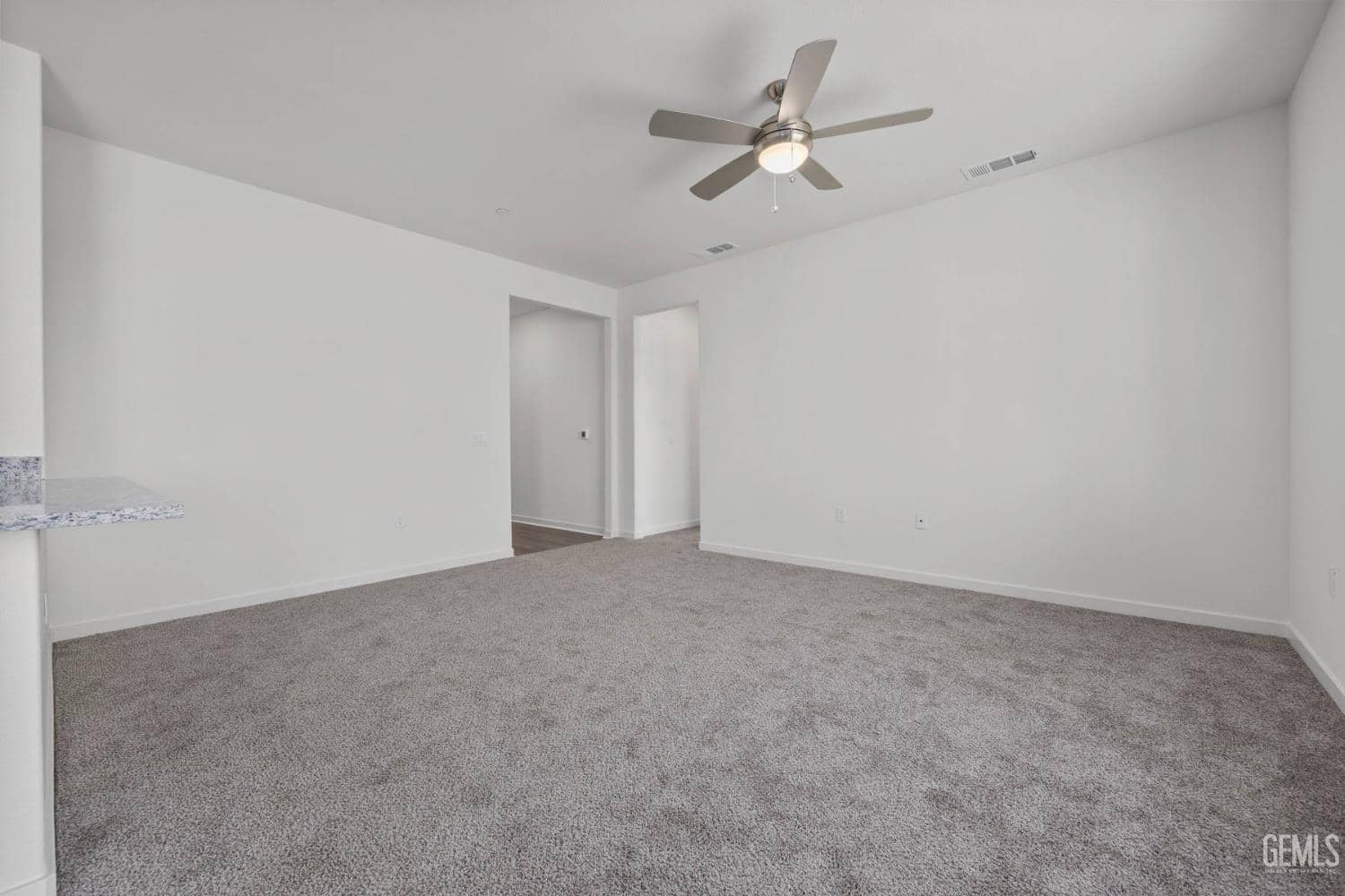 7915 Star Fruit Way — photo 2