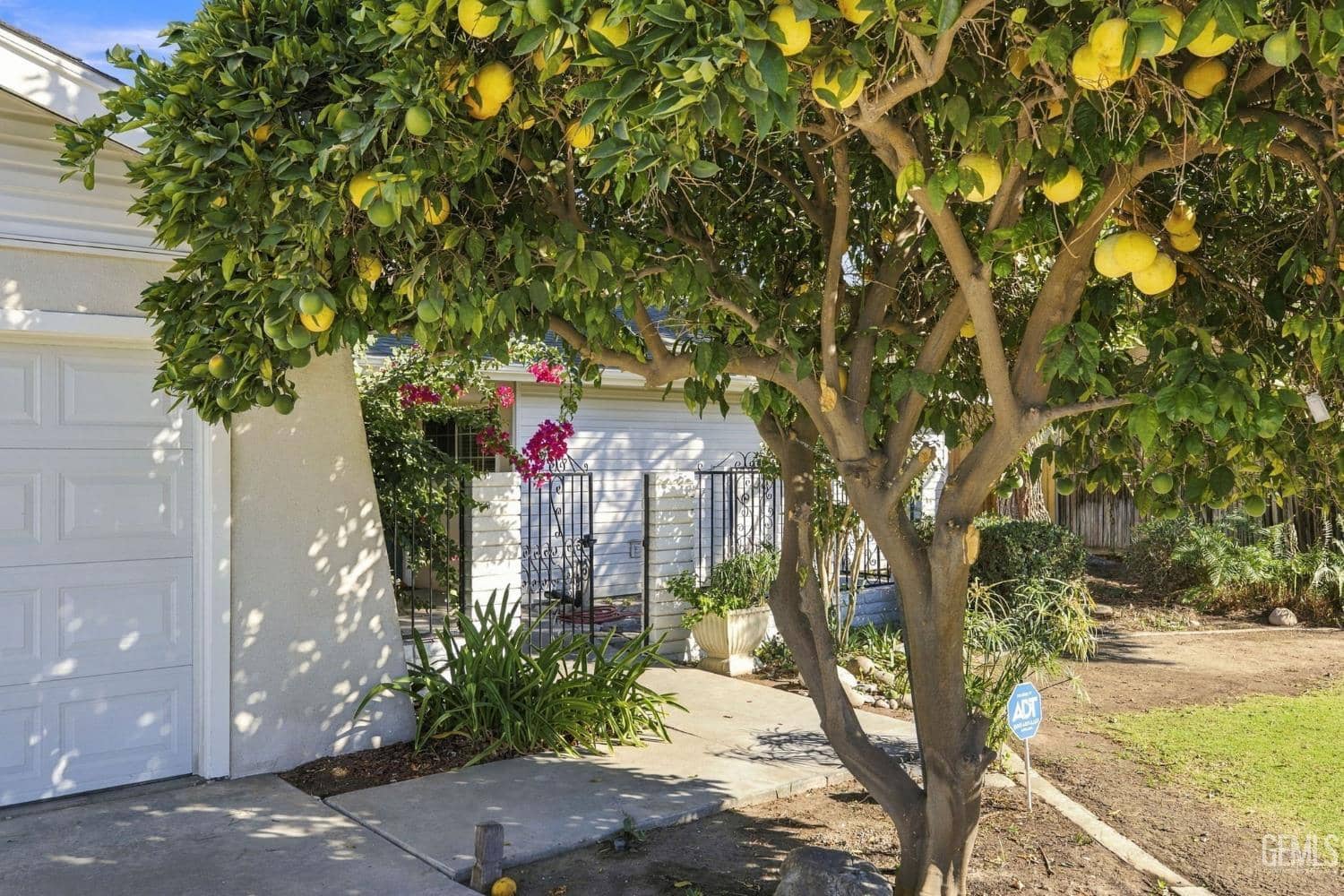 3820 Marjal Avenue — photo 5